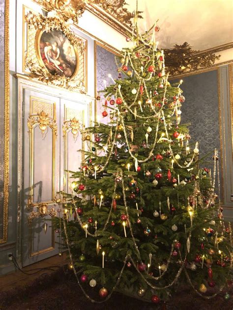 Christmas Tree: Origin and History - Star of Nature