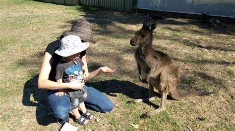 Bunbury Wildlife Park - Buggybuddys guide to Perth