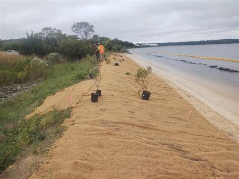 Naval Air Station Patuxent River Gets Earth Day Honors for Shoreline Restoration Work > United ...