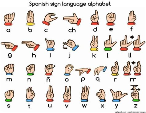 Sign Language Alphabet | Alfabeto della lingua dei segni, Imparare la lingua dei segni, Alfabeto