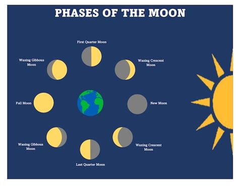 Printable Moon Phase Chart Home School Chart for the Moon | Etsy