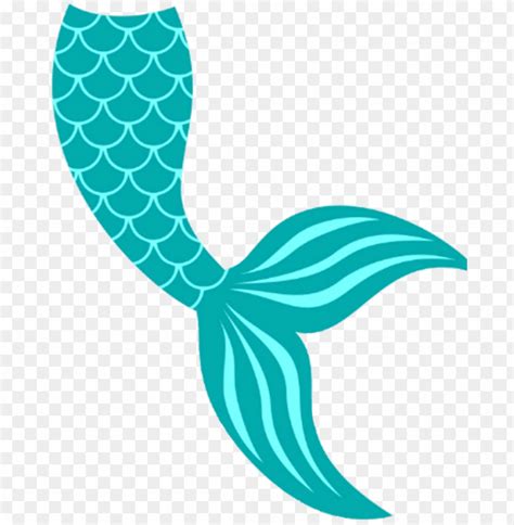 mermaidtail fishtail tail mermaid siren sirena sirene - mermaid tail sv PNG image with ...