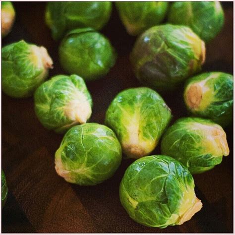 Benefits of Brussel Sprouts Rich in fiber Brussels sprouts helps to lower cholesterol ...