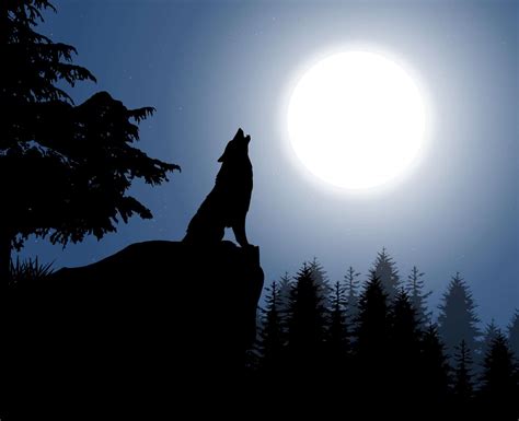 Wolf Moon - Hernando Sun