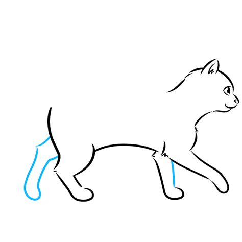 Cat Drawing Outline