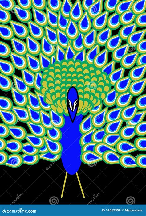 Peacock plumage stock illustration. Illustration of bright - 14053998