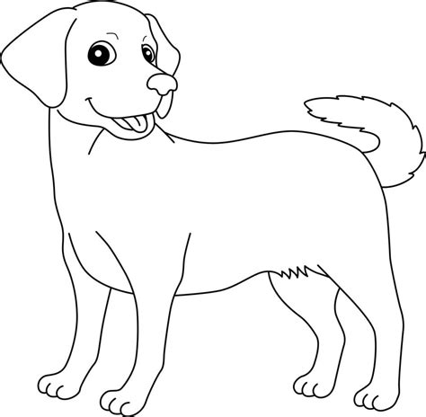 Labrador retriever perro aislado página para colorear 8944217 Vector en Vecteezy