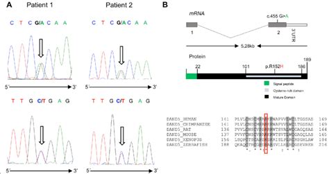 a Forward and reverse DNA sequence chromatograms of patient 1 and 2... | Download Scientific Diagram