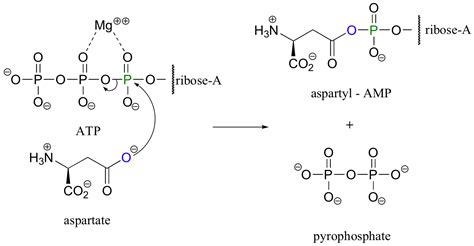 19.13: Biological Activity of Carboxylic Acids - Chemistry LibreTexts