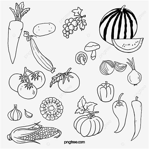 Fruits And Vegetables Clipart Black And White