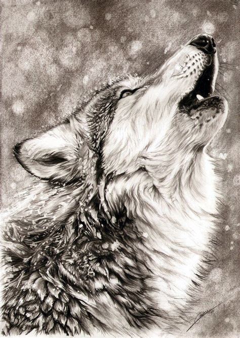 Animals Realistic Drawing at GetDrawings | Free download