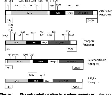 Figure 1 from Review Nuclear Receptor Signaling | The Open Access ...