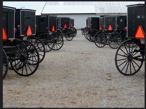 Everything You Want to Know About Amish Beliefs - TIMBER TO TABLE