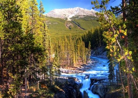 Top 10 Hotels in Sunwapta Falls, Alberta | Hotels.com