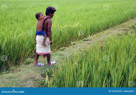 Indian Farmer. Editorial Stock Photo - Image: 14749158