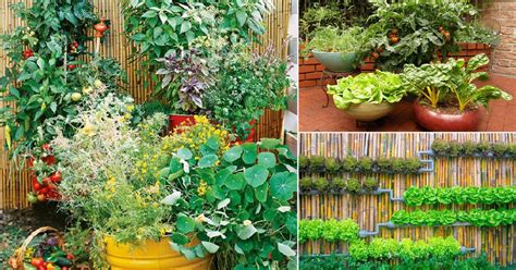 22 Stunning Container Vegetable Garden Design Ideas & Tips