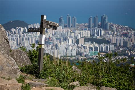 The Best Busan Hiking Trails for Every Level