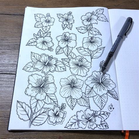 Hibiscus/Gumamela Drawing | kcdoodleart.com