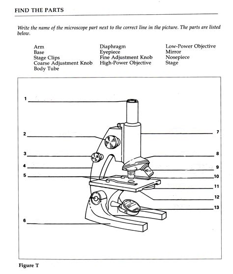 Parts Of A Microscope Worksheet