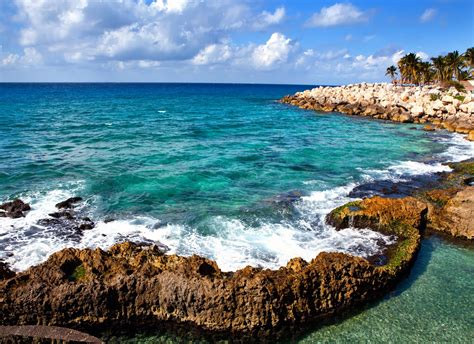 Cozumel beach | Cozumel, Riviera maya, Mexico travel