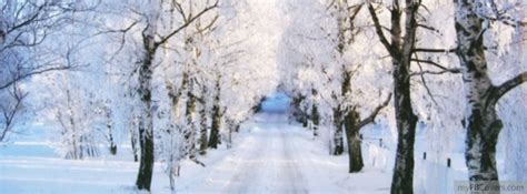 Winter Wonderland facebook cover