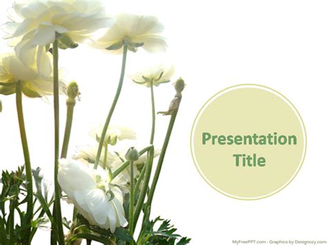 White Roses PowerPoint Template - Download Free PowerPoint PPT