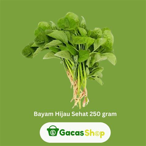 Bayam Hijau Sehat 250 gram - GacasShop