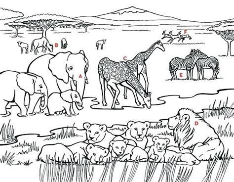 The best free Grassland coloring page images. Download from 79 free coloring pages of Grassland ...