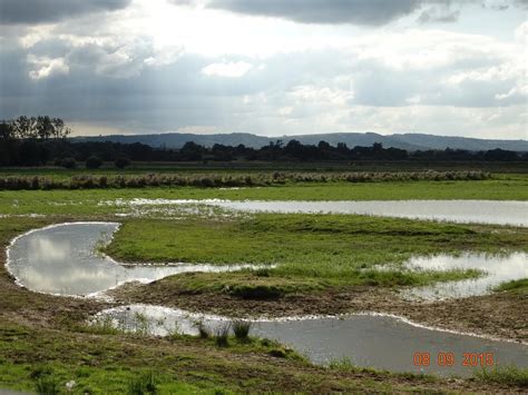 Pulborough, England: All You Need to Know Before You Go (2024 ...