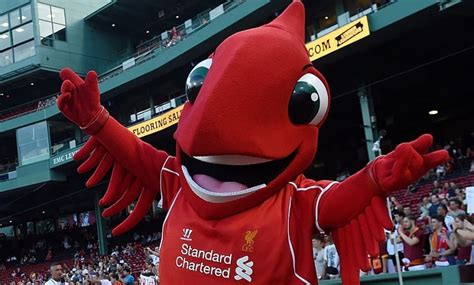 Vacancy: "Mighty Red" mascot at Liverpool FC : r/LiverpoolFC