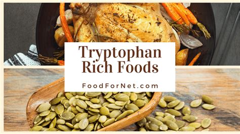 22 Tryptophan Rich Foods To Help Your Rest And Mood | Food For Net