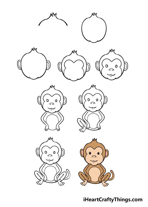 How to Draw a Baby Monkey Easy Step by Step - Rose Pruch1952