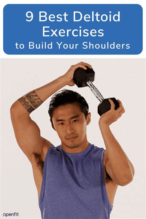 10 of the Best Deltoid Exercises to Build Your Shoulders | Deltoid ...