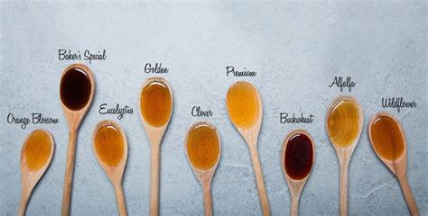 Types of Honey | Types of honey, Raw honey, Raw honey benefits