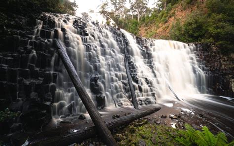 Dip Falls Tasmania: Epic Waterfall & Big Tree Walk