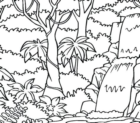 Download 230+ Rainforest S Coloring Pages PNG PDF File - Download 230+ Rainforest S Coloring ...