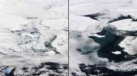 Satellite images reveal the Bering Sea is nearly ice-free • Earth.com