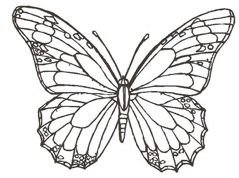 Butterfly Simple Drawing at GetDrawings | Free download