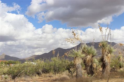 Different Trails: Organ Mountains