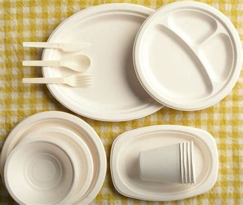 Sugarcane Bagasse Plates Buy sugarcane bagasse plates for best price at INR 0.80 / Piece(s ...