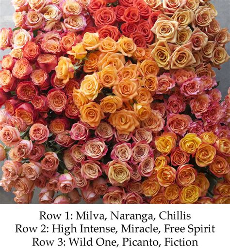 The Orange Rose Study | Flirty Fleurs The Florist Blog - Inspiration for Floral Designers