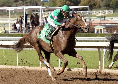 Zenyatta's foal finishes 3rd in career debut at Santa Anita - Sports Illustrated