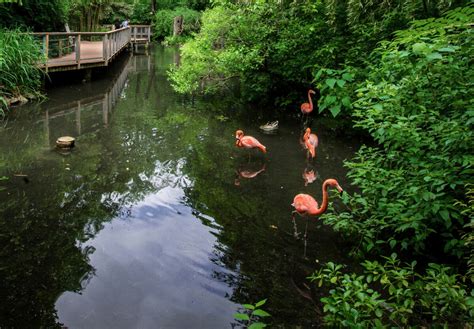 About Our Park - Bronx Zoo