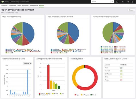 Vulnerability Management Report Template