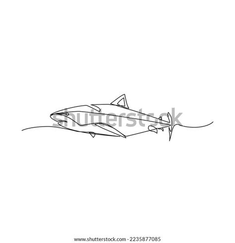 Shark Vector Illustration Drawn Line Art Stock Vector (Royalty Free ...