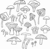 Fungi Colouring Page — Laura Sevigny Design sketch template