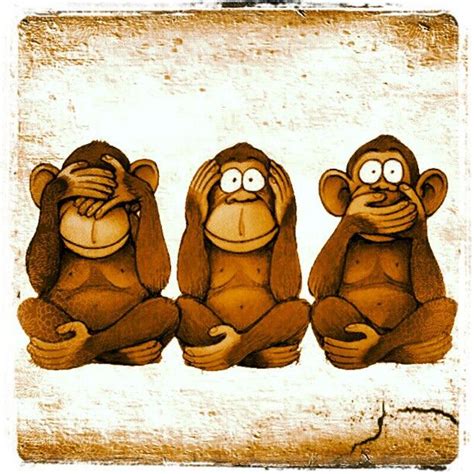 Three monkeys to help you stay sane when you witness the insanity of ...