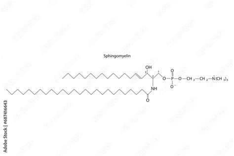 Diagram showing schematic molecular structure of Sphingomyelin ...