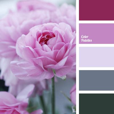 orchid color | Color Palette Ideas