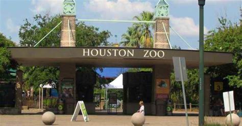 houston zoo